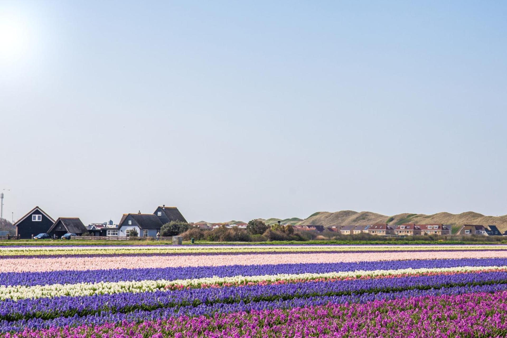Beach Appartement 27 - Aan De Duinen, Callantsoog Aan Zee Экстерьер фото